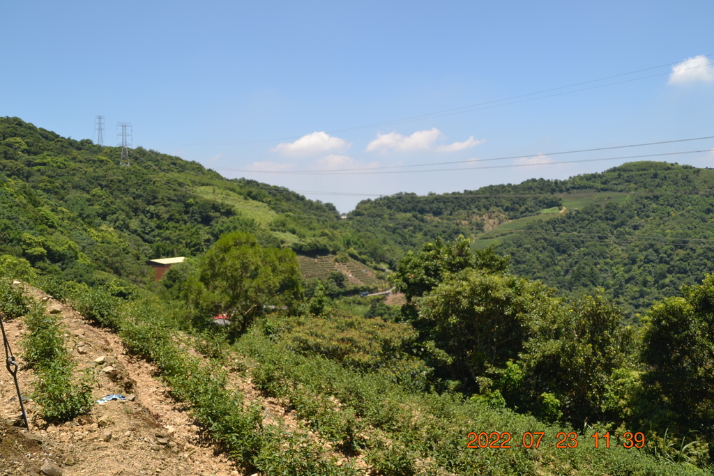 新北坪林獵狸尖(梅樹嶺山)、烏窟子山