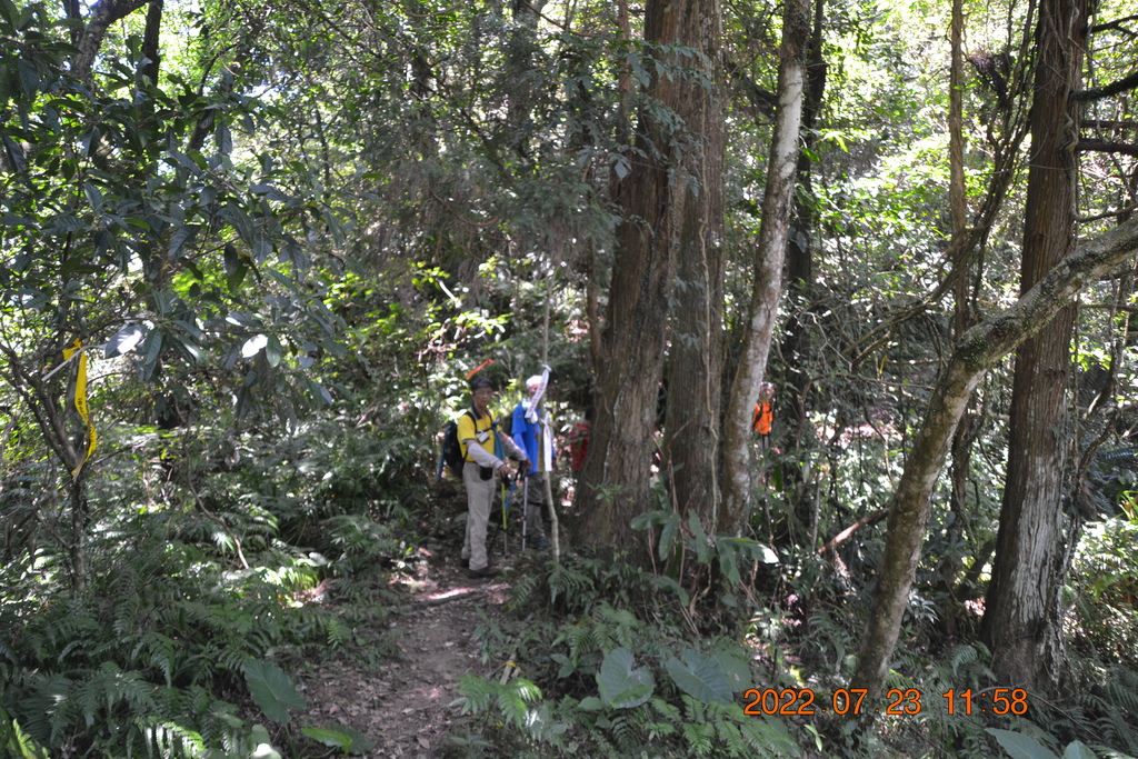 新北坪林獵狸尖(梅樹嶺山)、烏窟子山