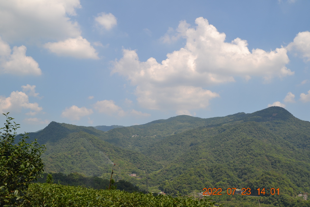 新北坪林獵狸尖(梅樹嶺山)、烏窟子山