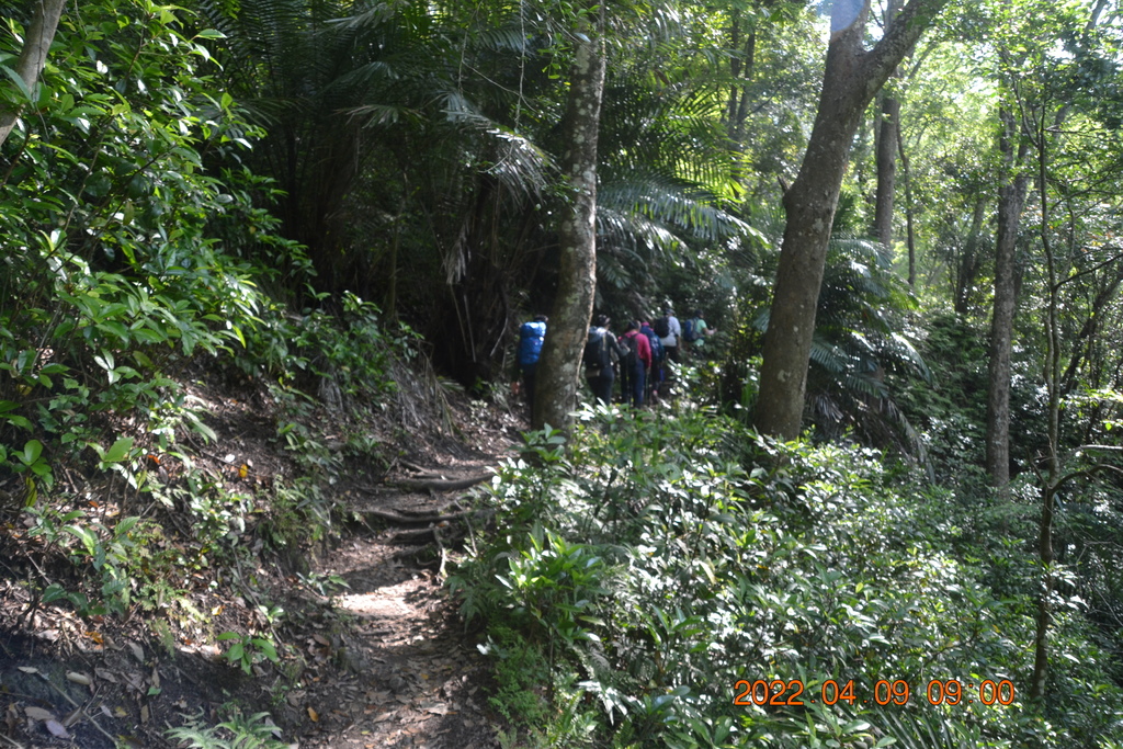 苗栗泰安鄉虎山