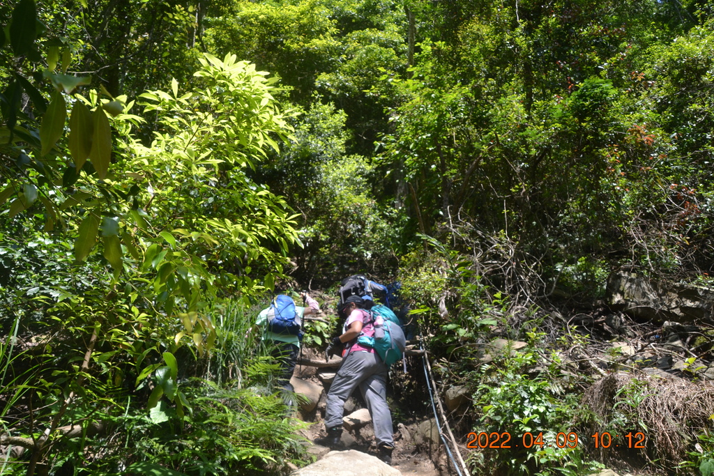 苗栗泰安鄉虎山