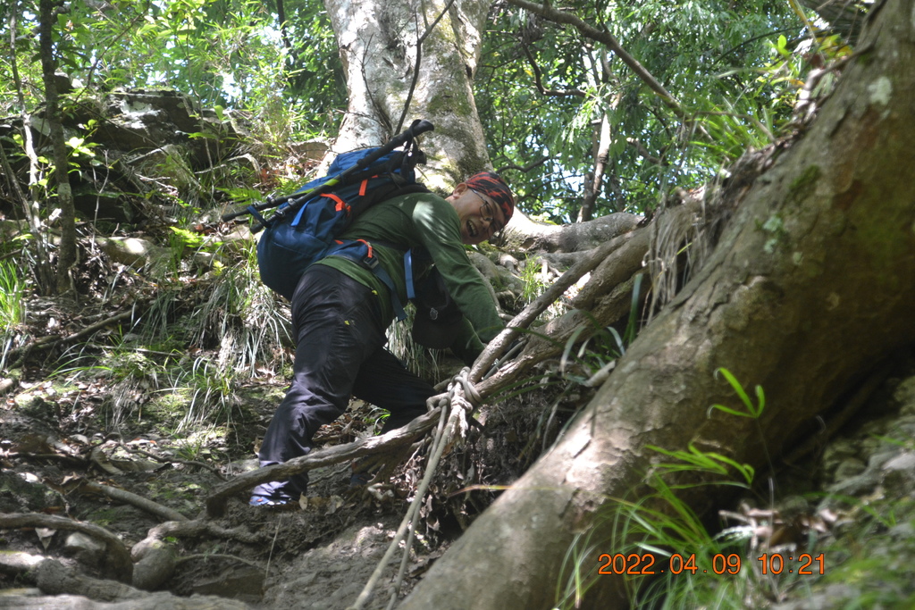 苗栗泰安鄉虎山