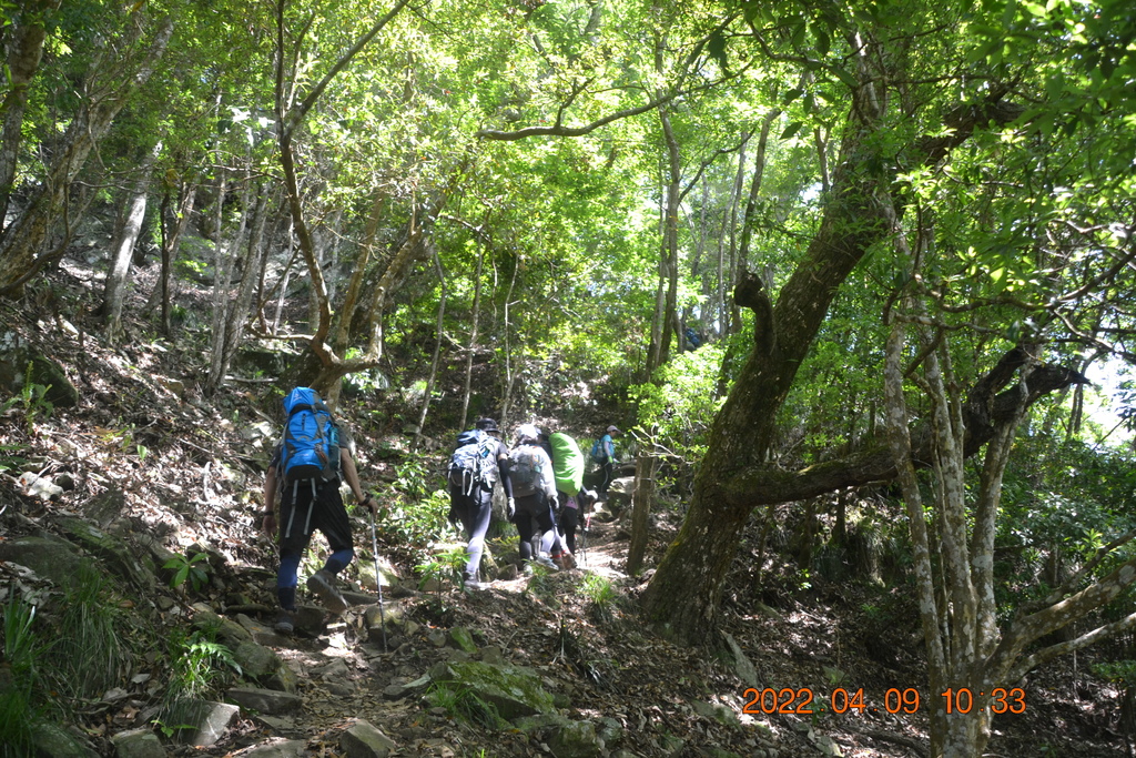 苗栗泰安鄉虎山