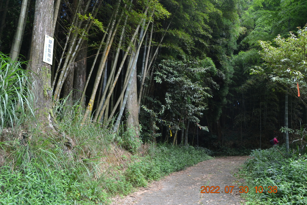 嘉義奮瑞古道-嘉義二日遊(一)