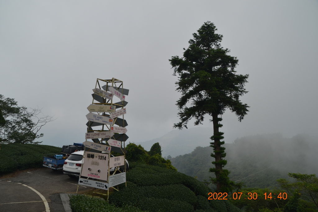 嘉義瑞里愛情塔、海鼠山、生毛樹山-嘉義二日遊(二)