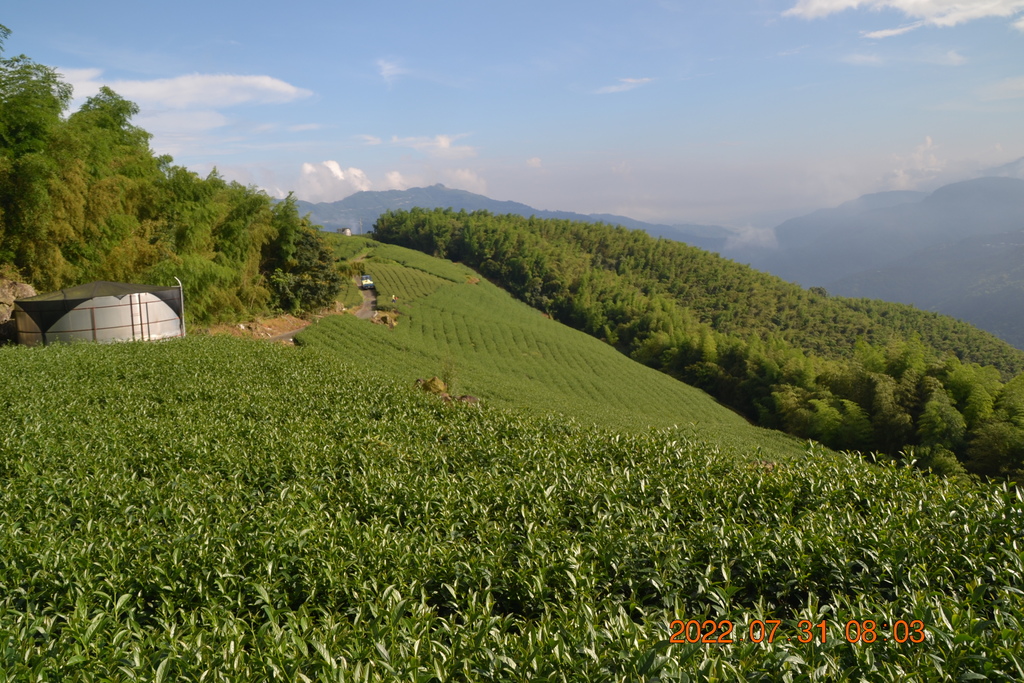 嘉義出水坑步道、篤鼻山、清園山北峰、清園山(四大天王山)、知