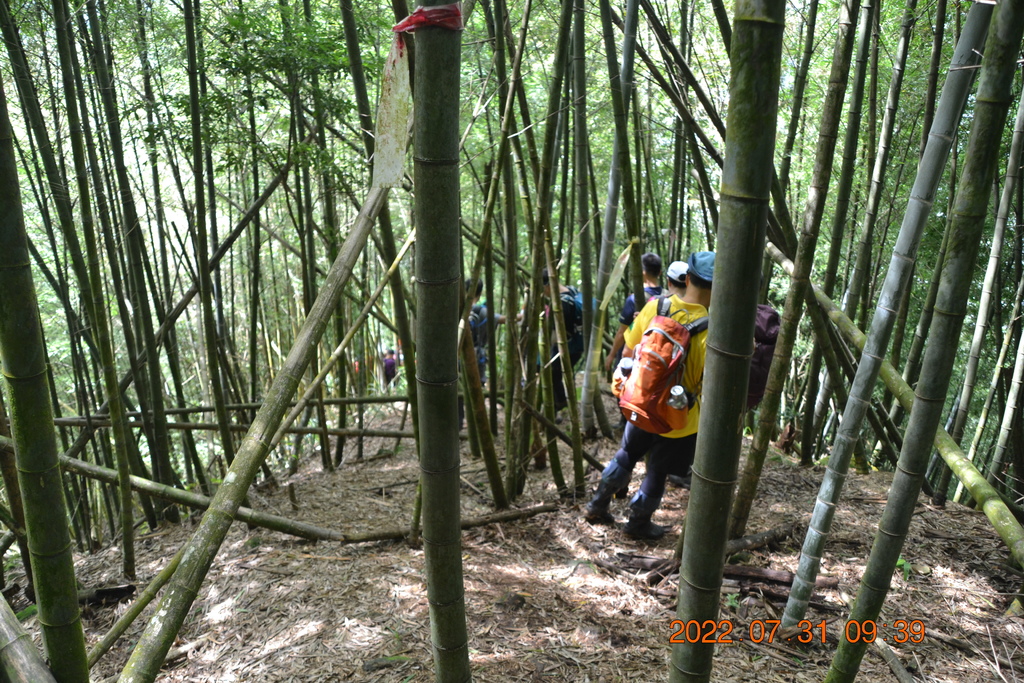 嘉義出水坑步道、篤鼻山、清園山北峰、清園山(四大天王山)、知