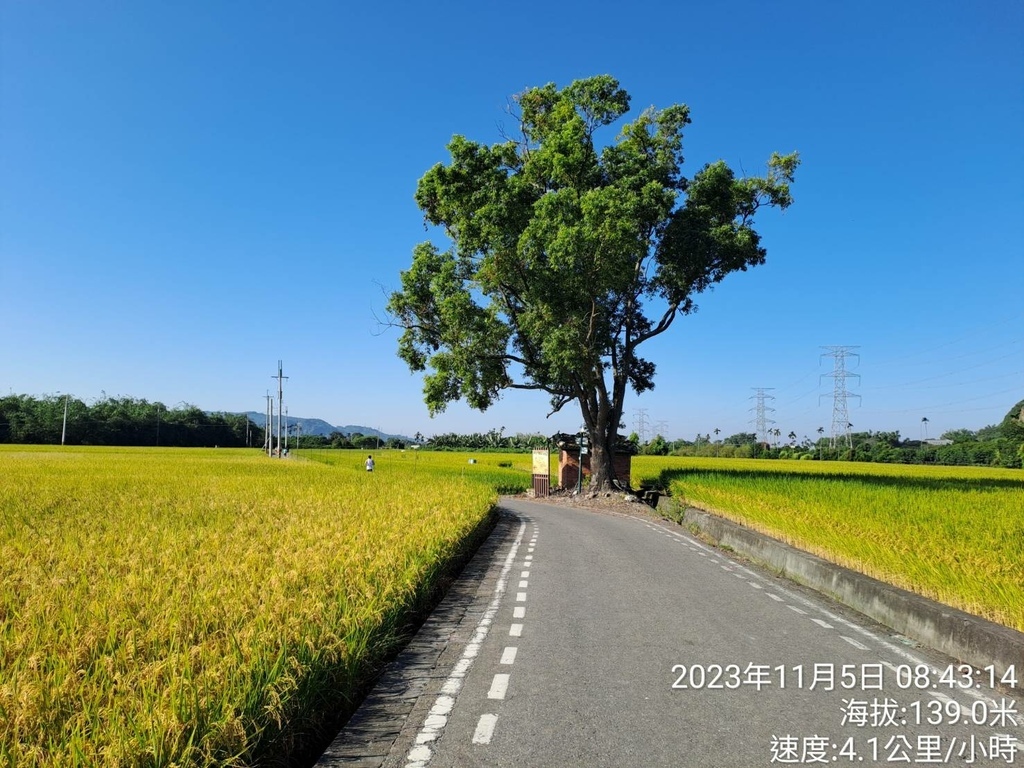 彰化戀戀二水跑水馬拉松-我的第54場半馬路跑