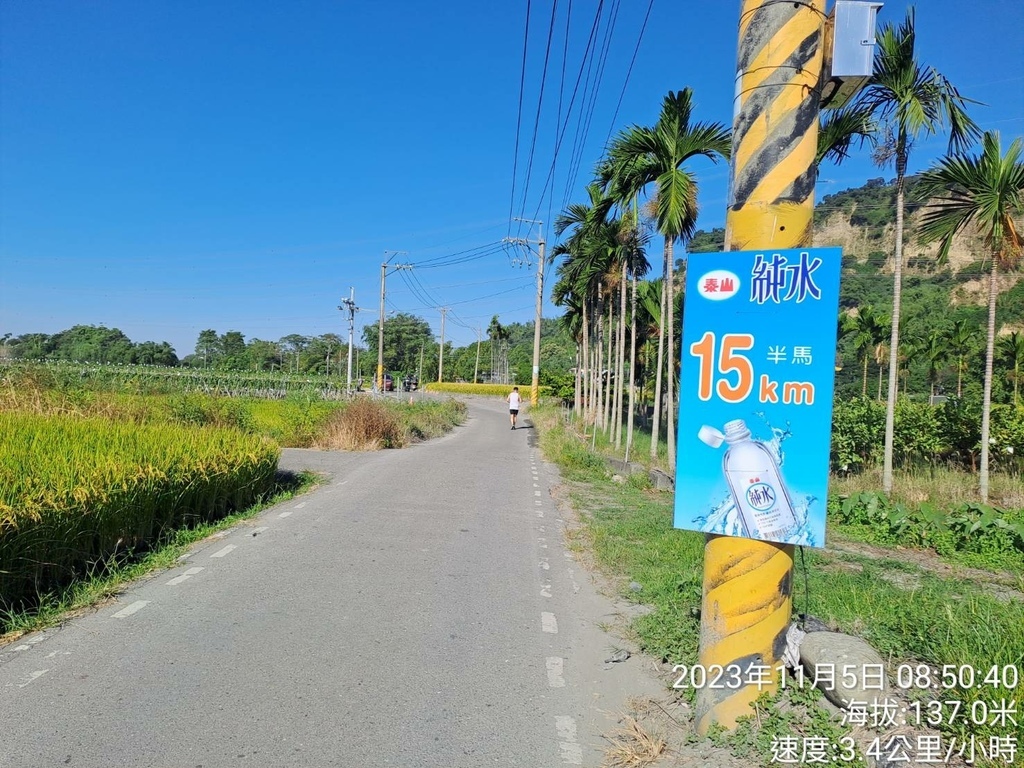 彰化戀戀二水跑水馬拉松-我的第54場半馬路跑