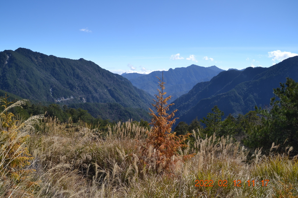 南投攀登卯木山-合歡越嶺古道(一)