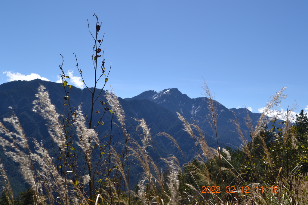 南投攀登卯木山-合歡越嶺古道(一)