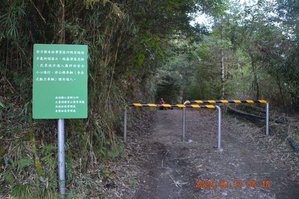 南投合歡溪步道-合歡越嶺古道(二)