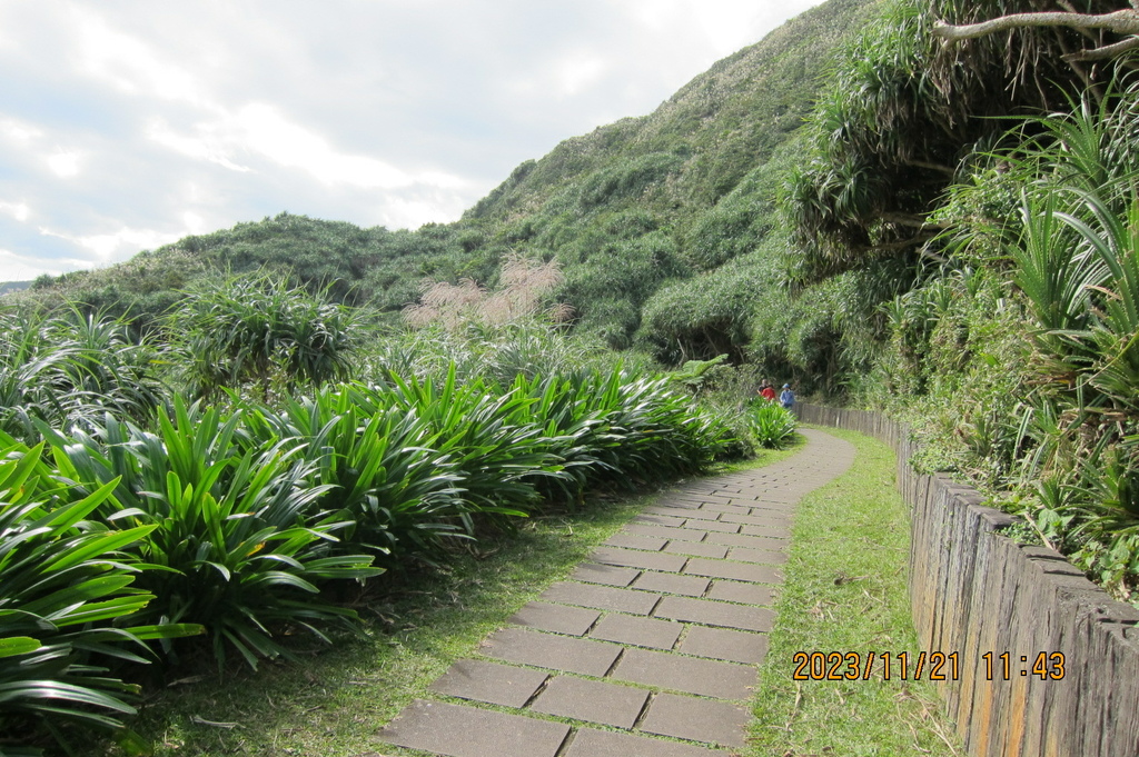 新北瑞芳鼻頭角步道-樂活登山社鼻頭步道一日遊-3