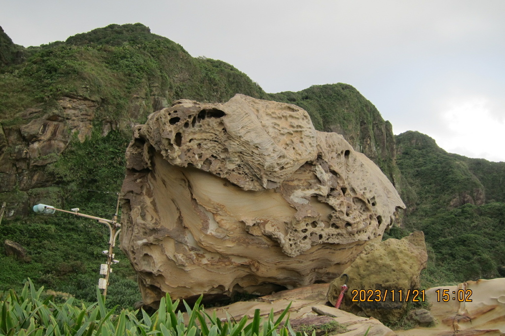 新北瑞芳南子吝步道及南雅奇岩-樂活登山社鼻頭角一日遊-7