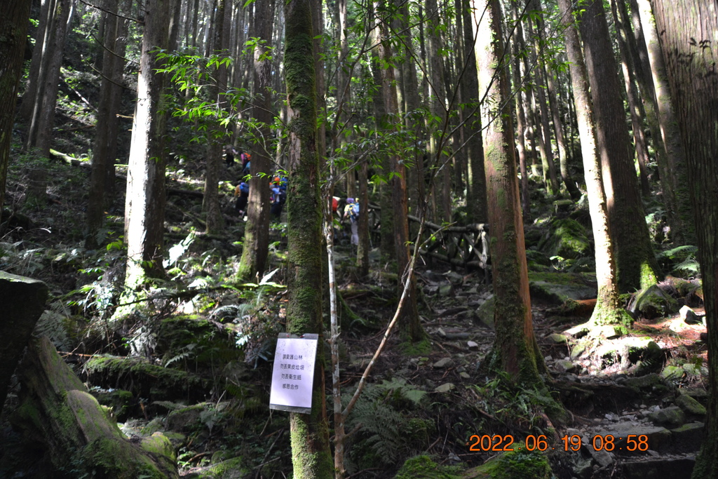 台中橫嶺山、沙連山、笛吹山