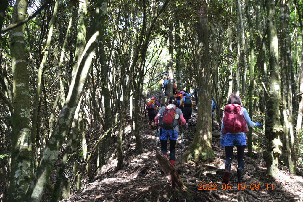 台中橫嶺山、沙連山、笛吹山