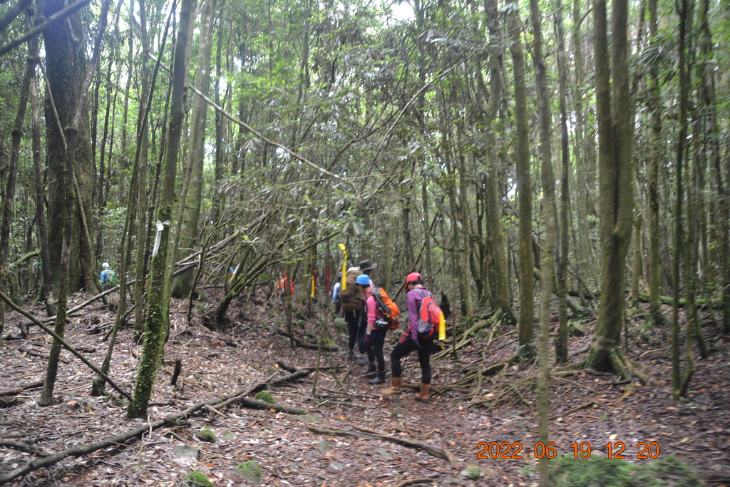 台中橫嶺山、沙連山、笛吹山