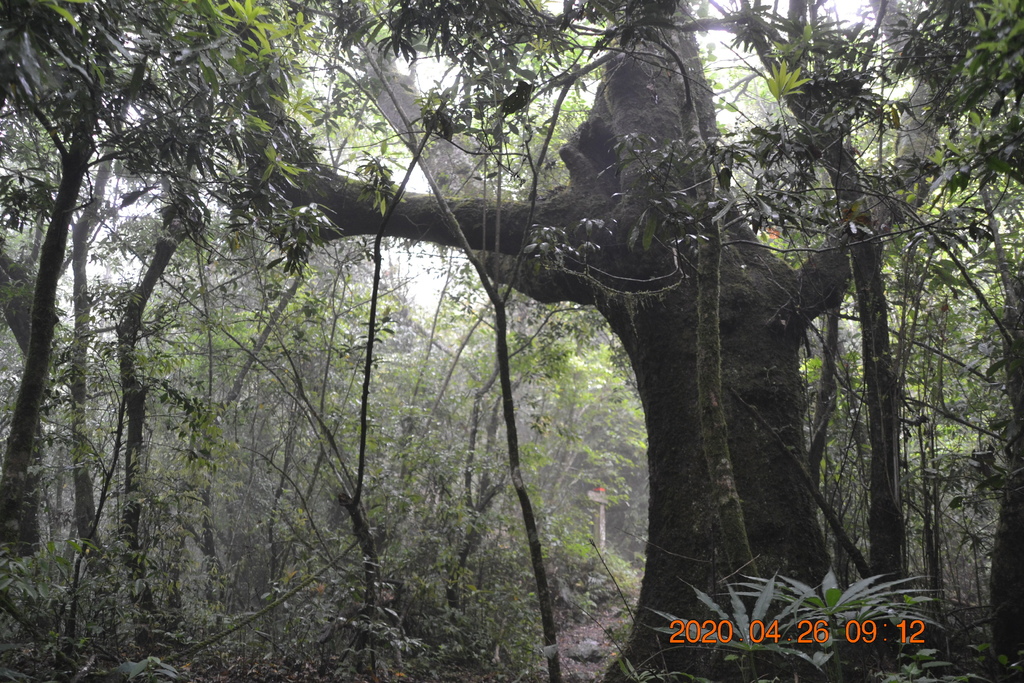 新竹李棟山、泰平山、1690峰、馬望憎侶山