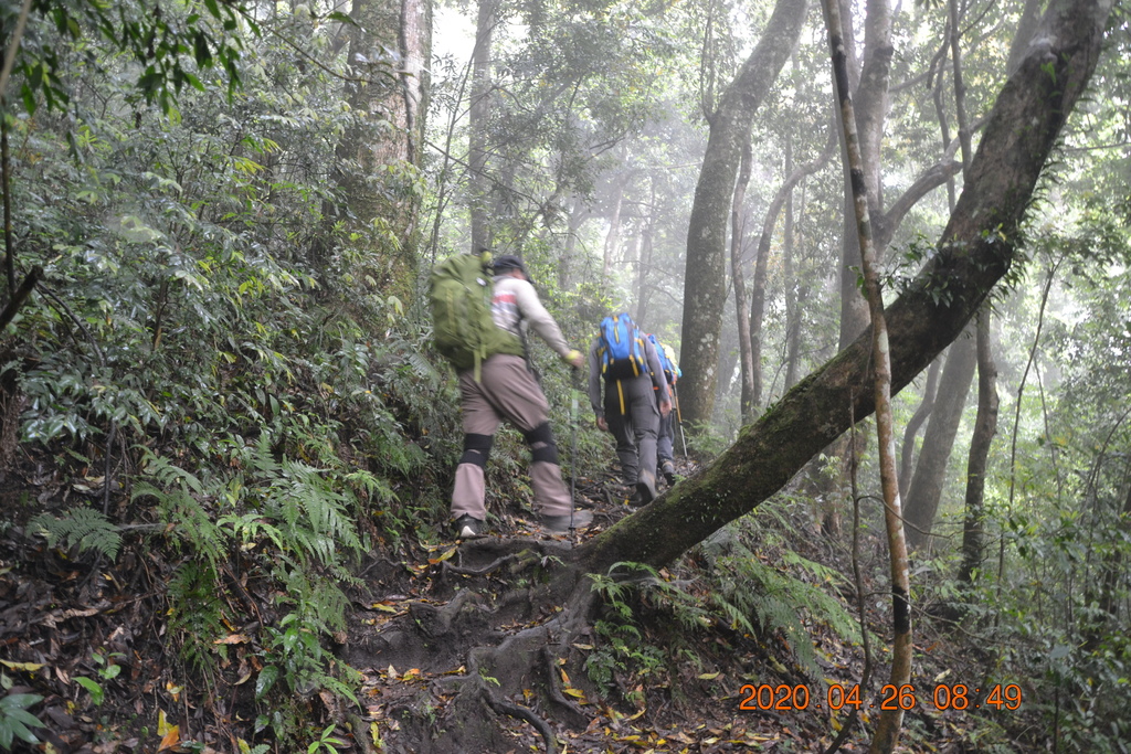 新竹李棟山、泰平山、1690峰、馬望憎侶山