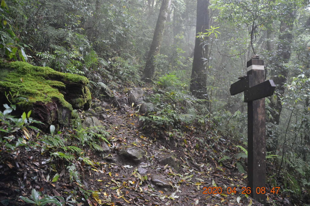 新竹李棟山、泰平山、1690峰、馬望憎侶山