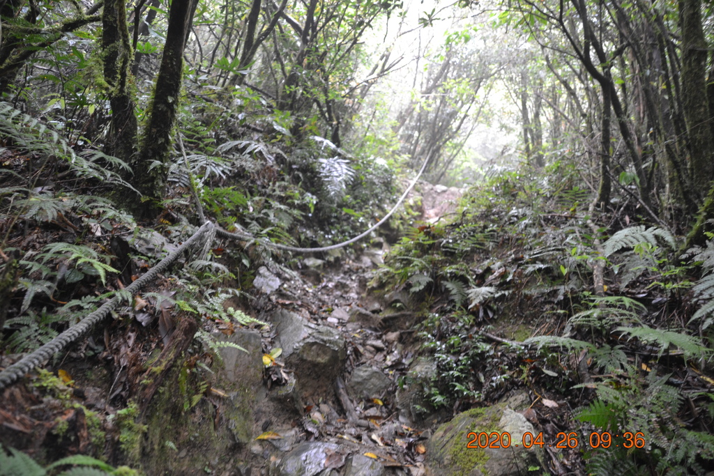 新竹李崠山、泰平山、1690峰、馬望僧侶山