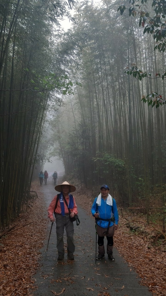 2020.04.26【李棟山～泰平山～馬望僧侶山】_200426_0095.jpg