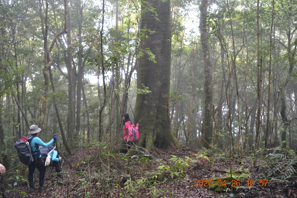 新竹李崠山、泰平山、1690峰、馬望僧侶山