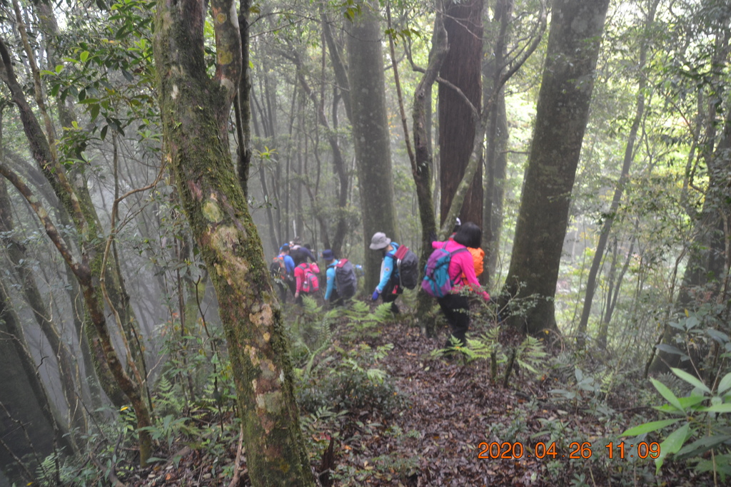 新竹李棟山、泰平山、1690峰、馬望憎侶山