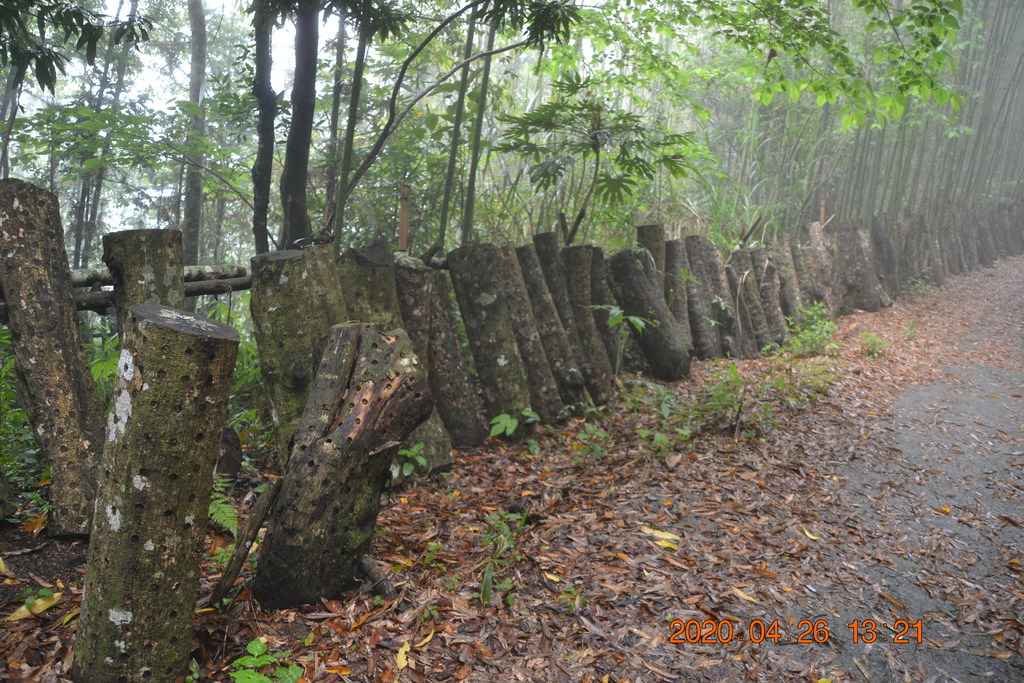 新竹李棟山、泰平山、1690峰、馬望憎侶山