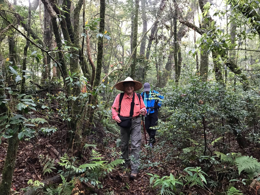 新竹李棟山、泰平山、1690峰、馬望憎侶山