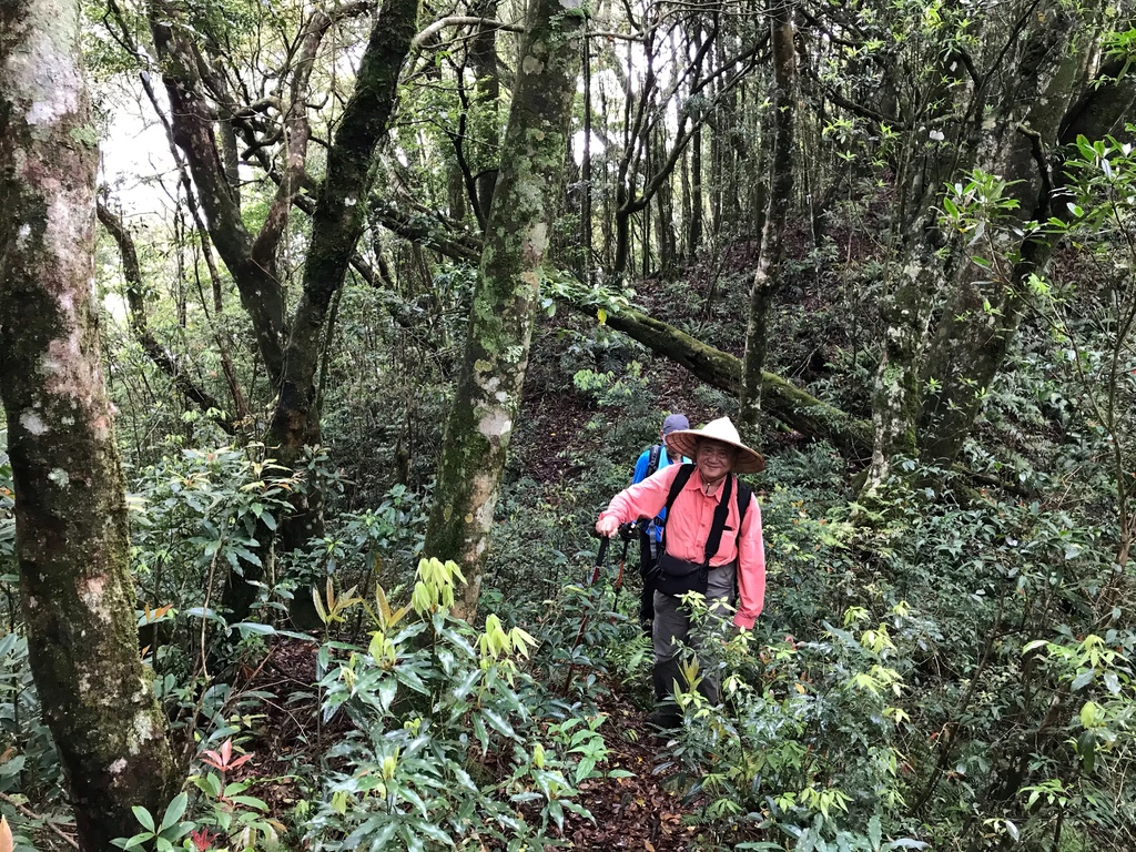 新竹李棟山、泰平山、1690峰、馬望憎侶山