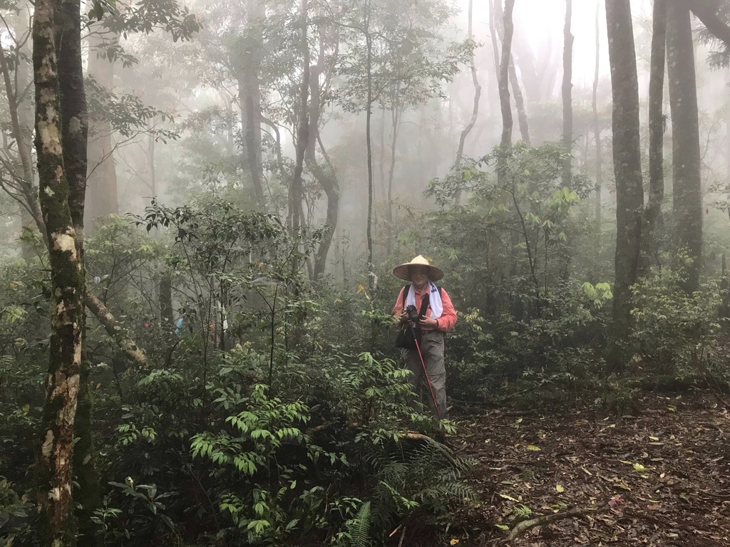 新竹李棟山、泰平山、1690峰、馬望憎侶山