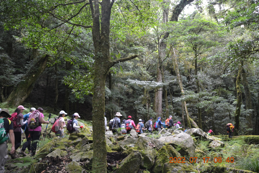 台中捎來小雪山步道、船型山、天池及雪山神木