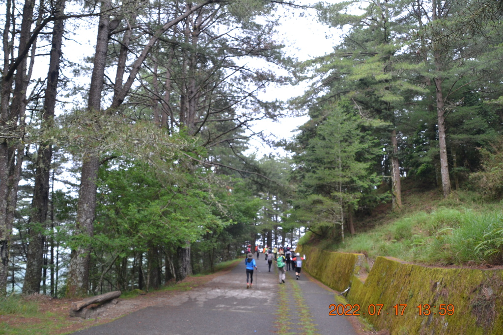 台中捎來小雪山步道、船型山、天池及雪山神木