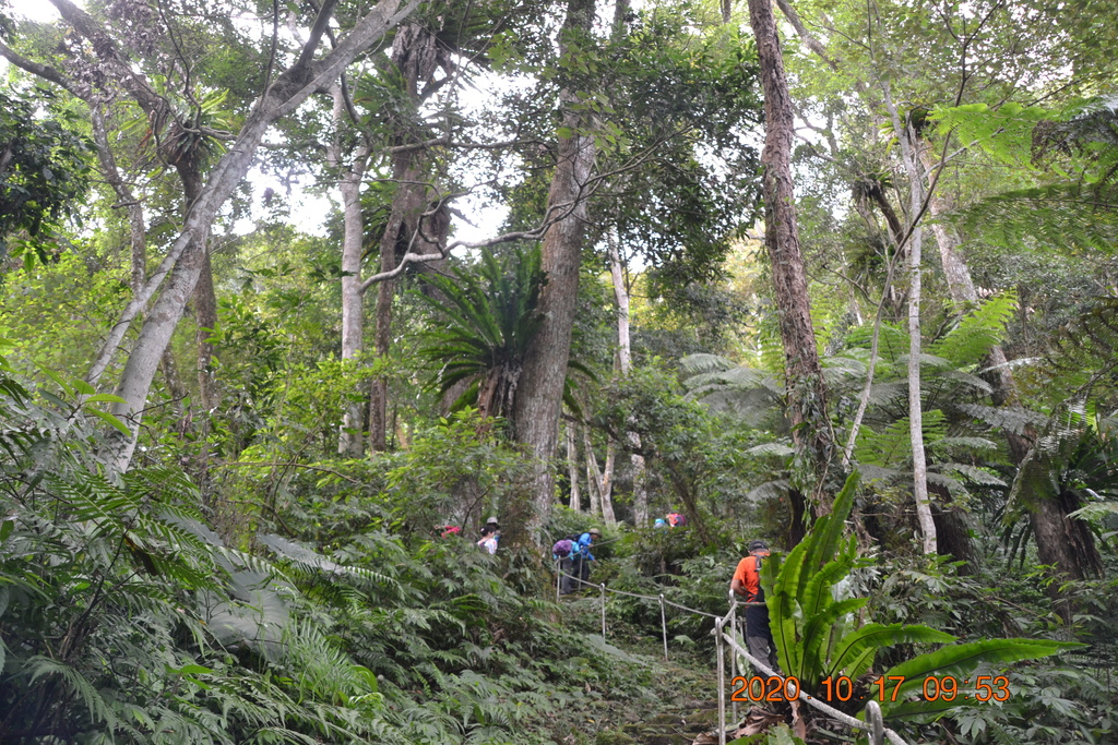 新竹北埔五指山登山步道