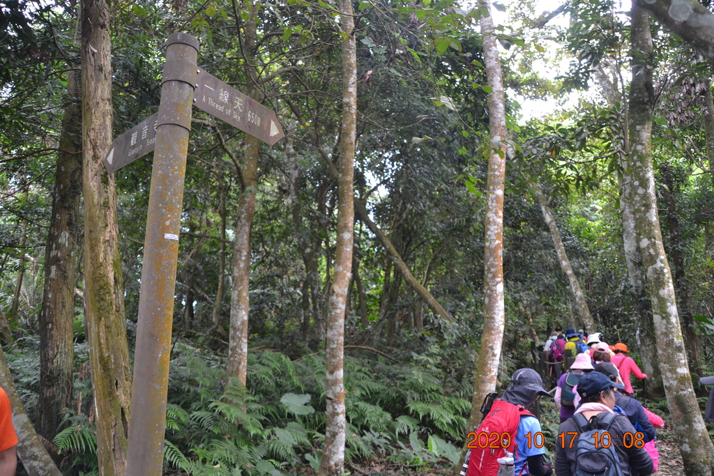 新竹北埔五指山登山步道