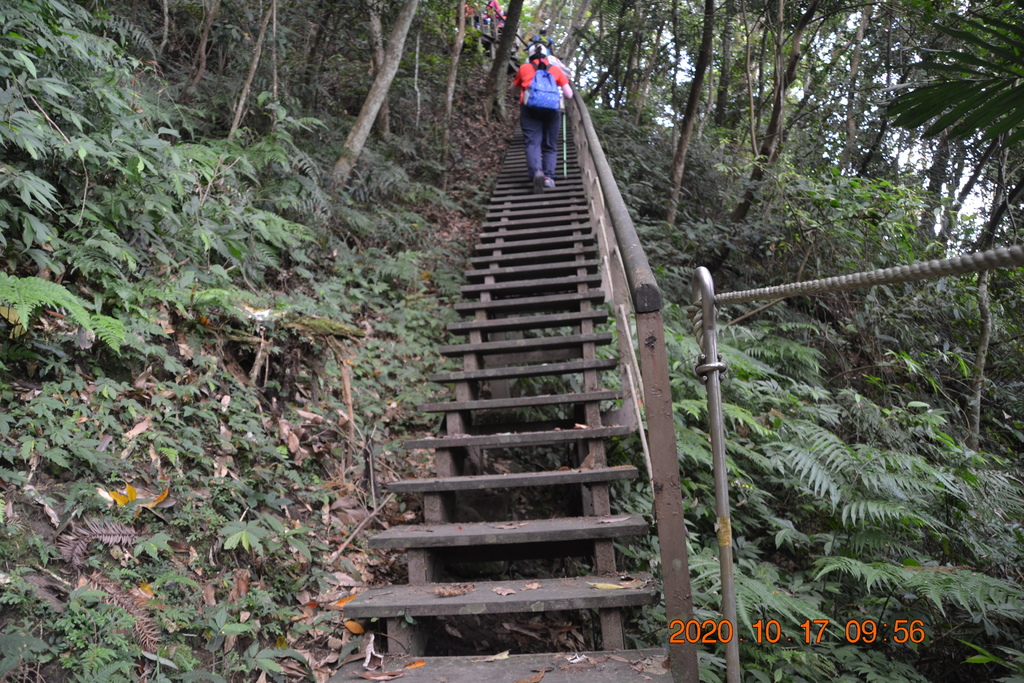 新竹北埔五指山登山步道