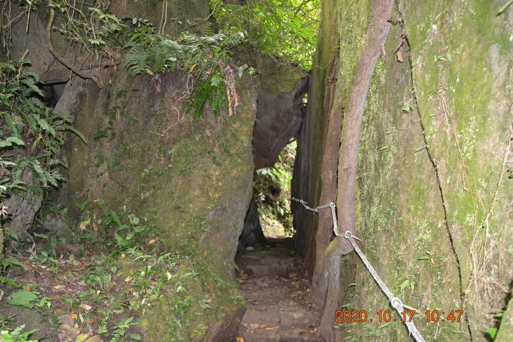 新竹北埔五指山登山步道