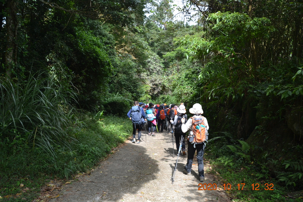 新竹北埔五指山登山步道