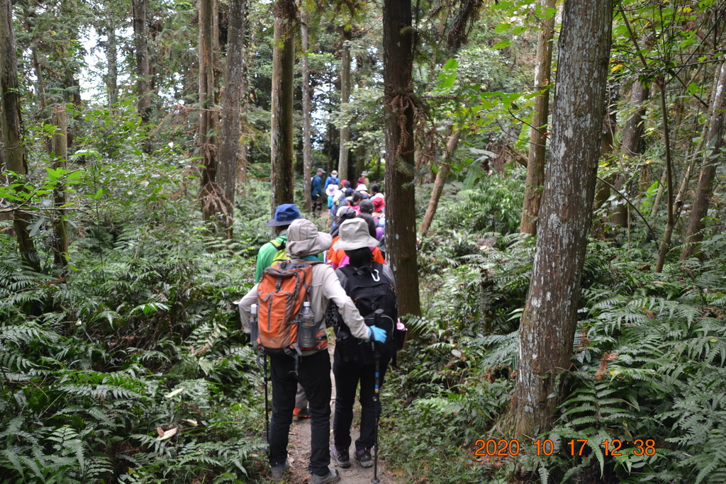 新竹北埔五指山登山步道