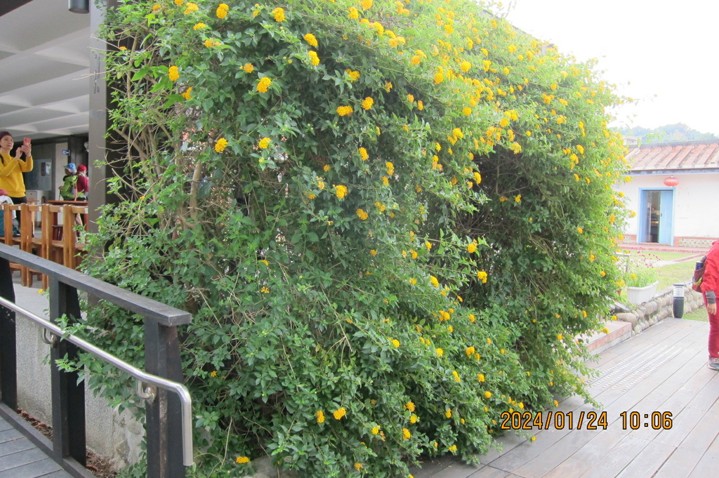 台中林家花園