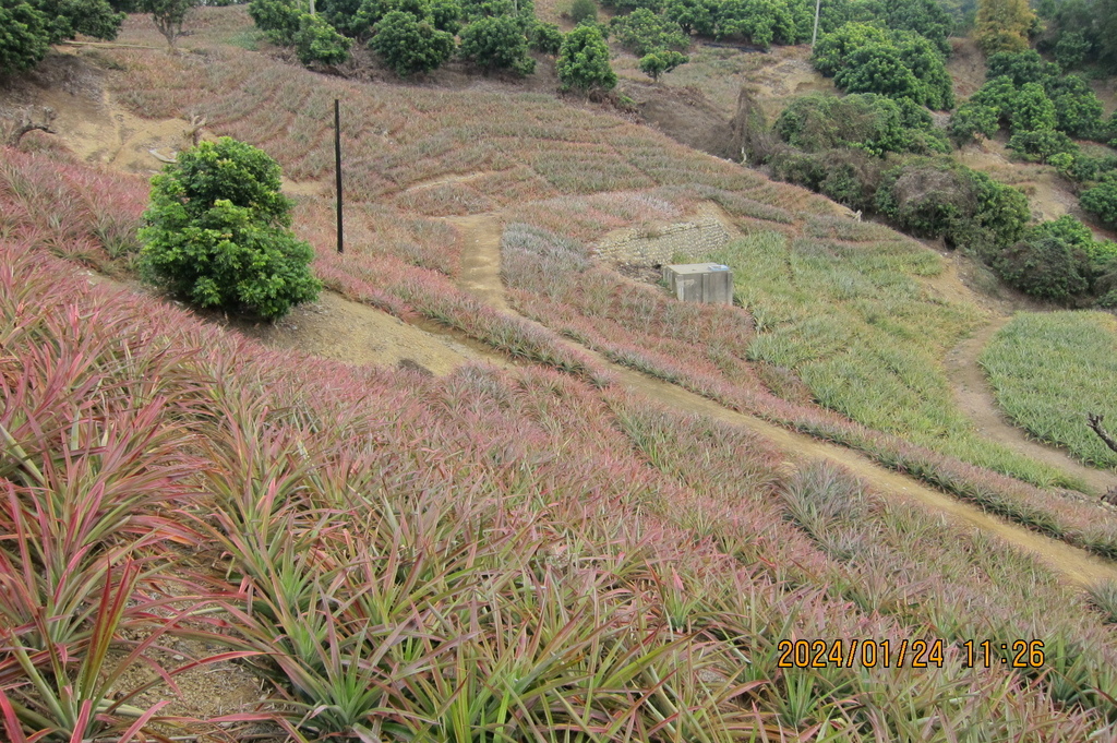 台中霧峰阿罩霧山