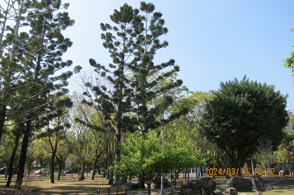 台北士林福林公園-軟腳蝦健行隊陽明山一日遊(一)