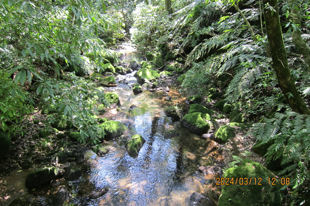 台北猴崁湖田國小步道-軟腳蝦健行隊陽明山一日遊(四)