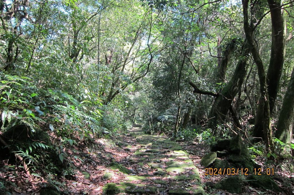 台北猴崁湖田國小步道-軟腳蝦健行隊陽明山一日遊(四)