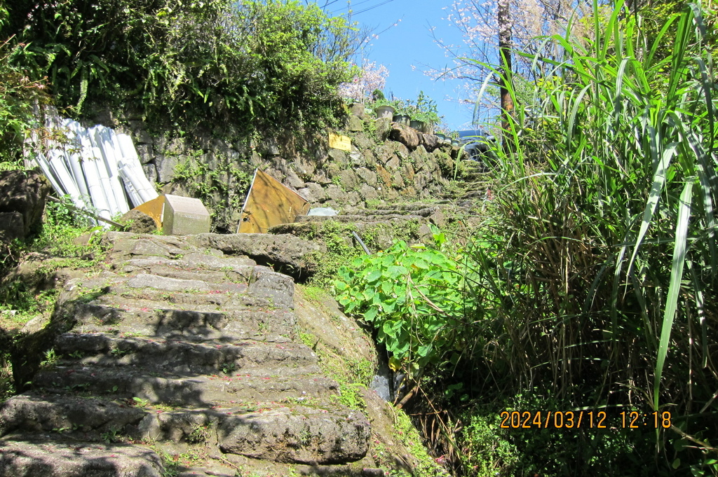 台北猴崁湖田國小步道-軟腳蝦健行隊陽明山一日遊(四)