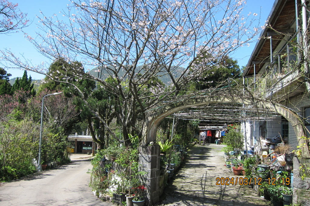 台北猴崁湖田國小步道-軟腳蝦健行隊陽明山一日遊(四)