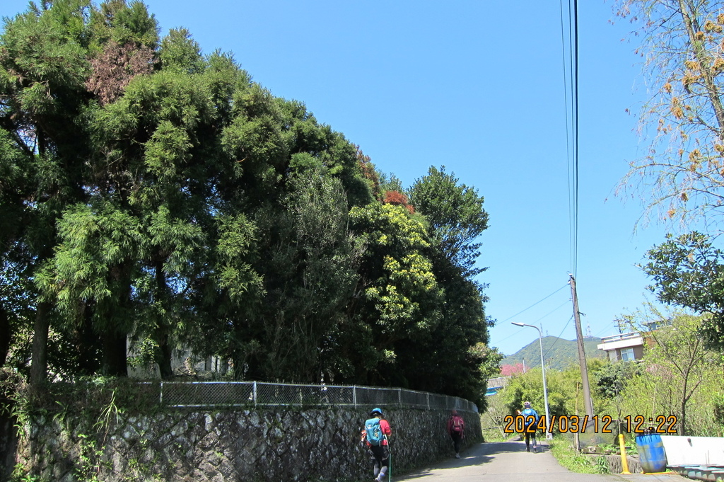 台北猴崁湖田國小步道-軟腳蝦健行隊陽明山一日遊(四)