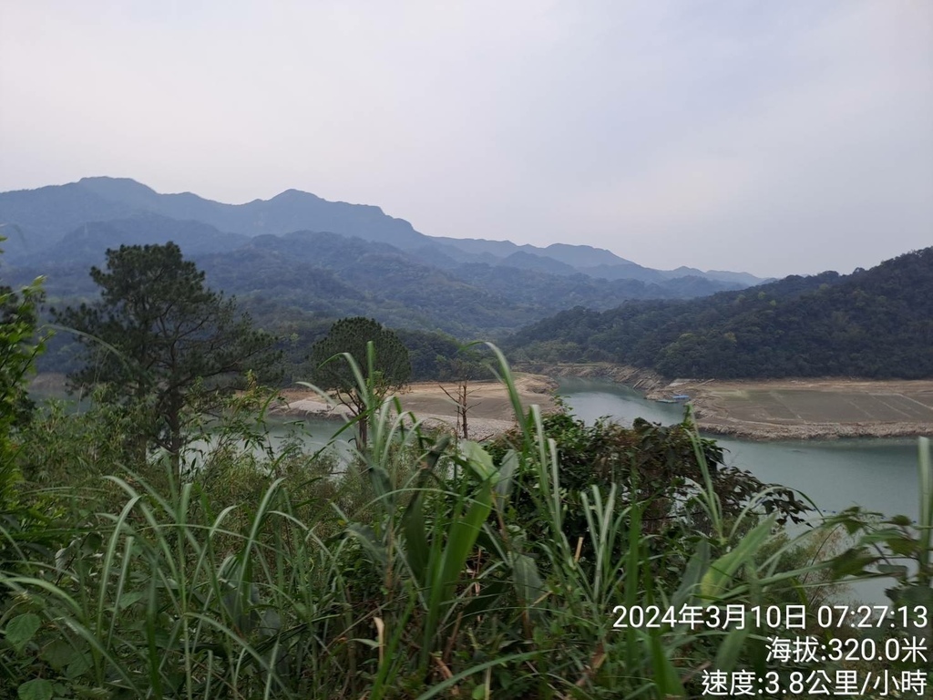 桃園石門水庫櫻花路跑-我的第72場半程21公里馬拉松路跑