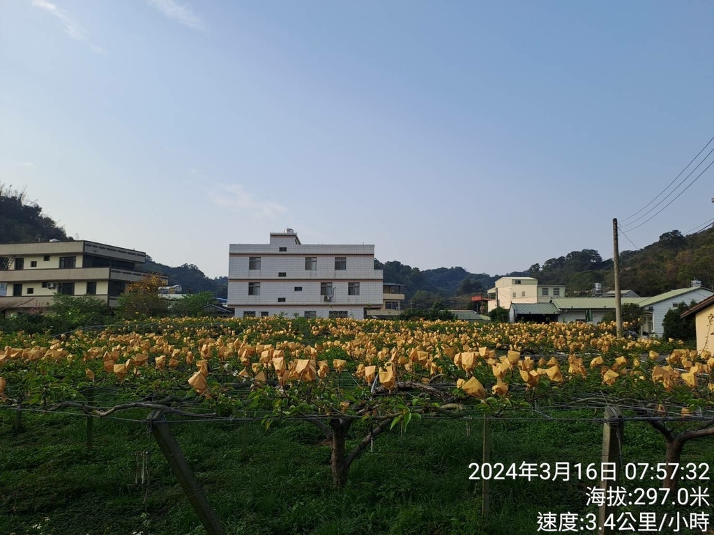 台中2024鄉鎮之美MARATHON-東勢場-我的第73場半